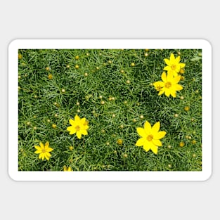 Yellow Flowers in the Park Sticker